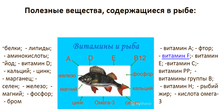 «Неделя здорового питания».