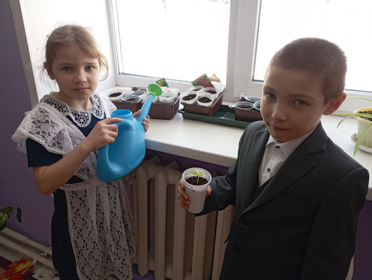 Теплица на окошке.