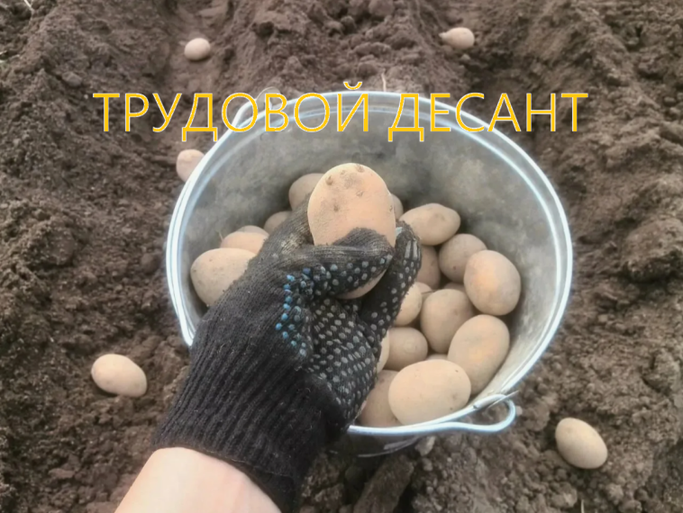 Трудовой десант.